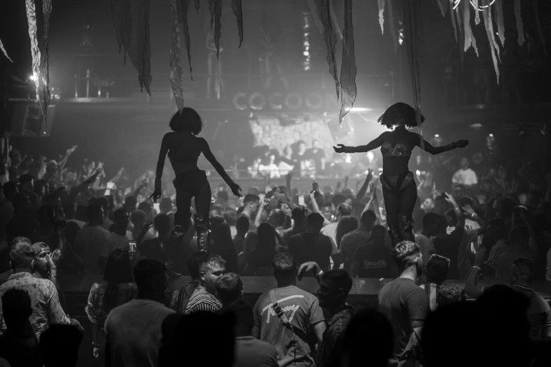 Cocoon Ibiza